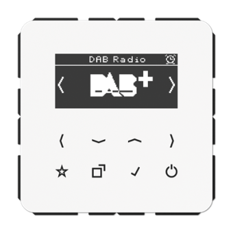 Jung DAB CD WW Смарт радио DAB+